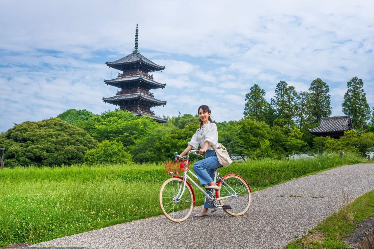 🏯 빗추 고쿠분지(비추코쿠분지) 이미지 3
